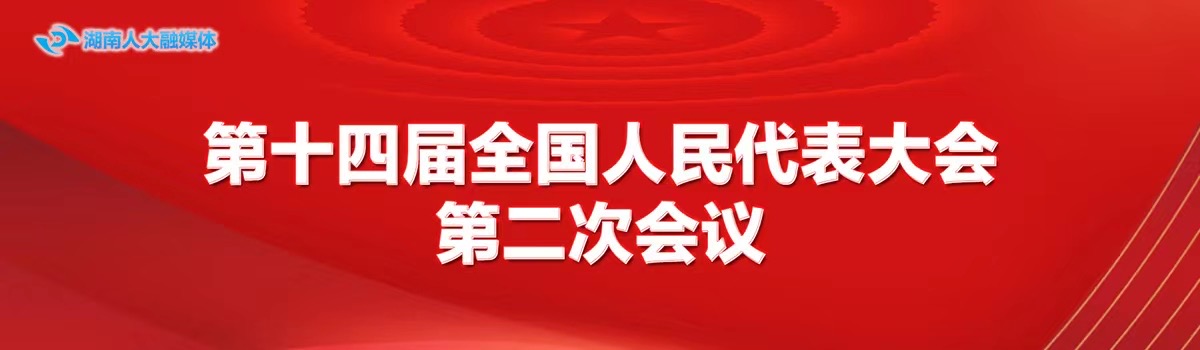 第十四届全国人民代表大会第二次会议